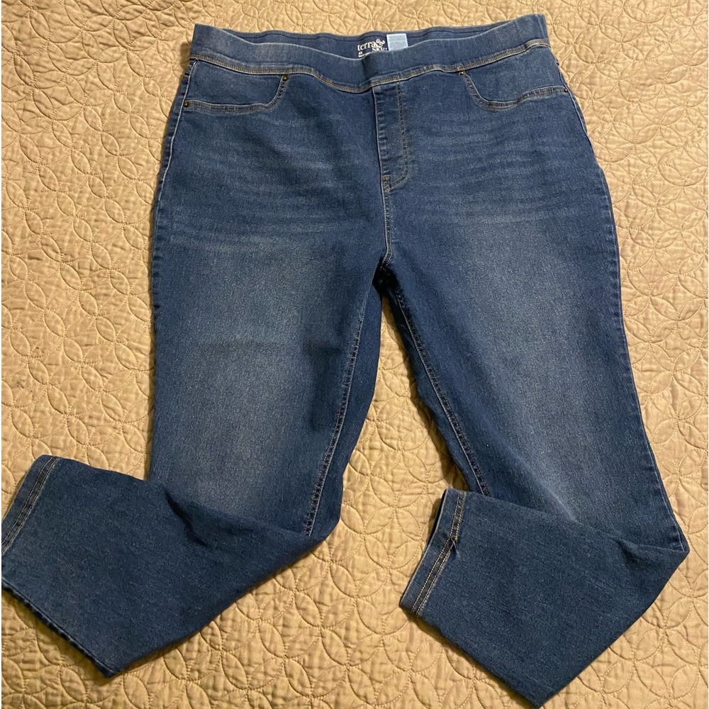 Terra & Sky Pull On Jeggings